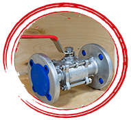 A352 LCB Low Temperature Swing Plug Valves