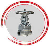 ASTM A182 F9 Valve