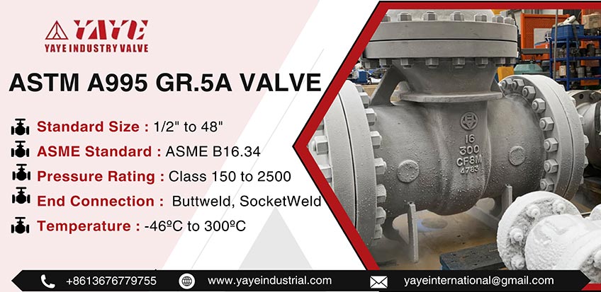 ASTM A995 GR.5A Valve