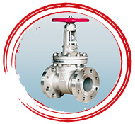 ASTM B367 Gr C2 Water Gate Valve
