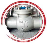 ASTM B625 N08904 Lift Check Valve