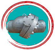 Cw6mc Check Valve