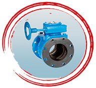DI Plug Valves