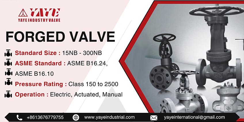 Forged Valve Manufacturer in China