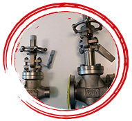 Grade 2 Check Valve