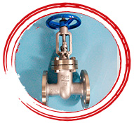 Grade 3 Titanium Gate Valve