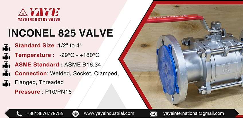 Inconel 825 Valve
