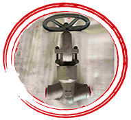 SA 182 F22 Globe Valve