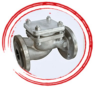 SMO 254 Check Valve