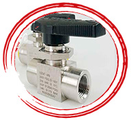 SMO 254 Globe Valve