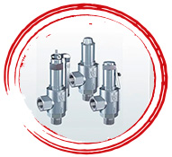 SS Safety valve