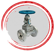 Stainless Steel 321H Valves