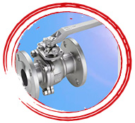 Ti Alloy Plug Valve