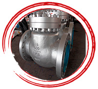 Ti Check Valve