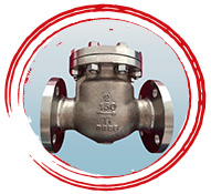 Titanium ASTM B367 Grade C2 Check Valve