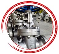 UNS N08904 Gate Valve