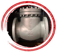 ZeCor 310 M Swing Check Valve