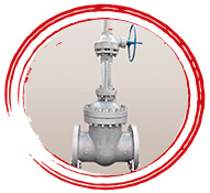 ZeCor Z Alloy Gate Valve
