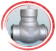 Zecor-Z Lift Check Valve